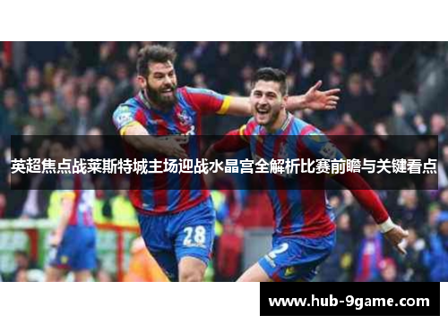英超焦点战莱斯特城主场迎战水晶宫全解析比赛前瞻与关键看点 英超焦点战莱斯特城主场迎战水晶宫全解析比赛前瞻与关键看点