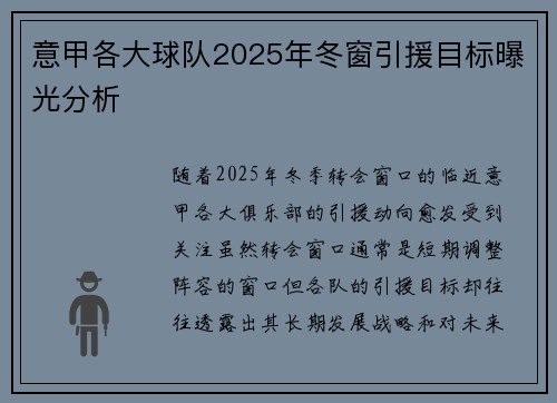 意甲各大球队2025年冬窗引援目标曝光分析