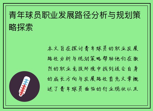 青年球员职业发展路径分析与规划策略探索
